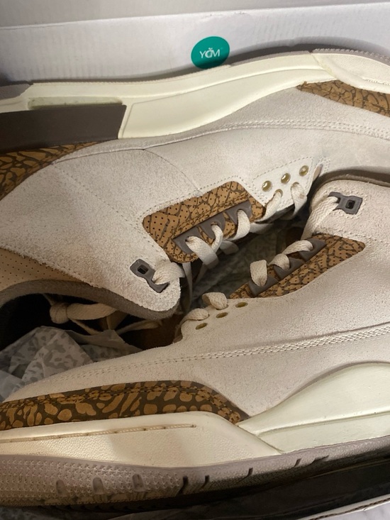 Jordan Retro Low Top Sneakers in Beige and Brown